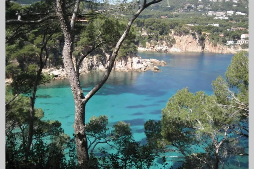 Apartment Appartment With Swimming Pool, Near To The Beach Llafranc